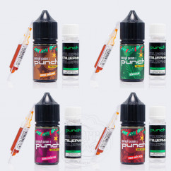 Punch X-mas Edition Salt 30ml